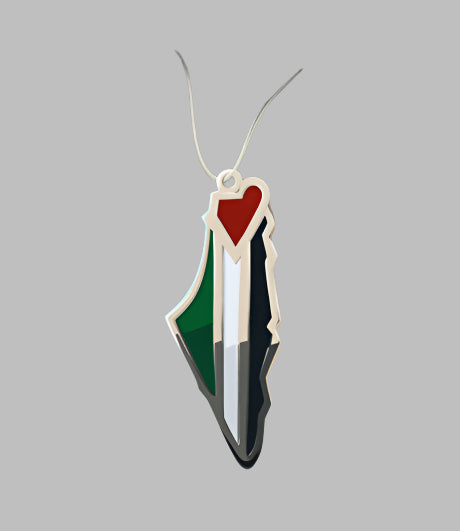 Palestine map colored with Palestine flag