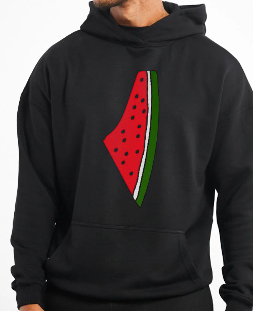 Palestine map watermelon unisex hoodie