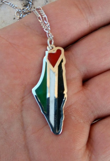 Palestine map colored with Palestine flag